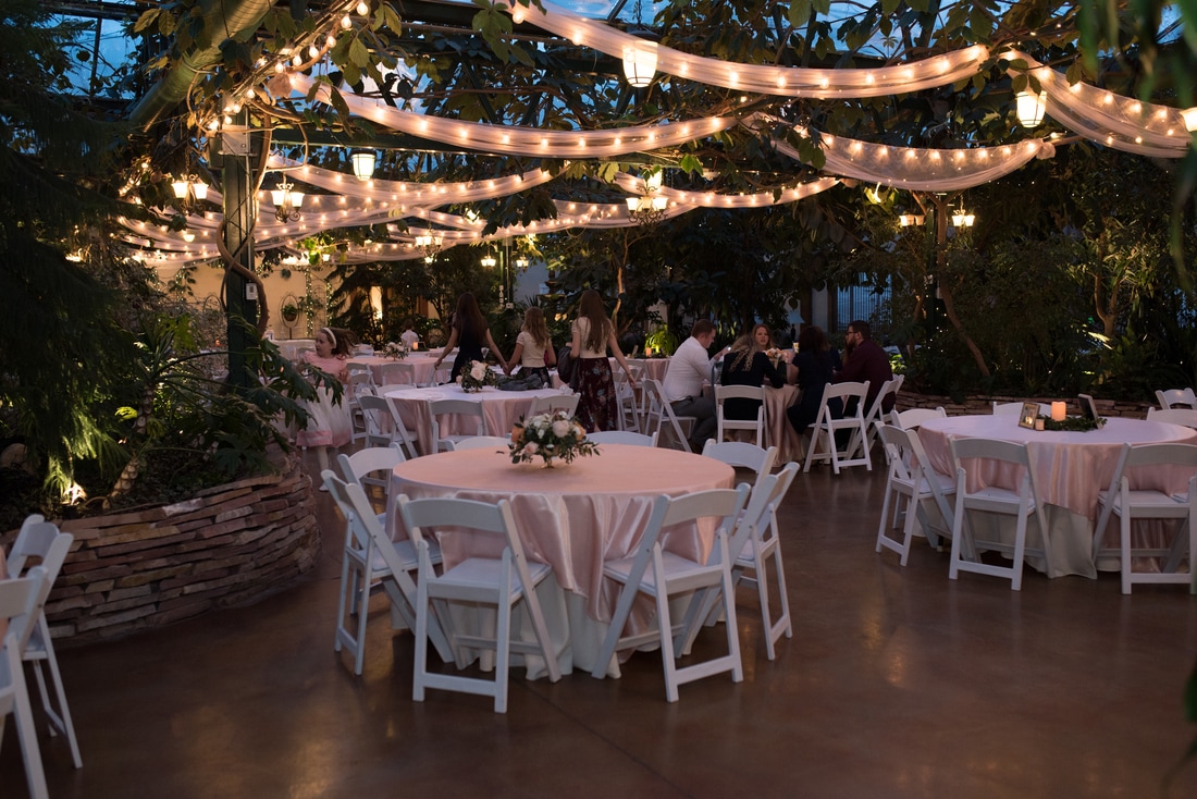 Photo of reception venue with hanging globe lights, greenhouse plants, and tables and chairs