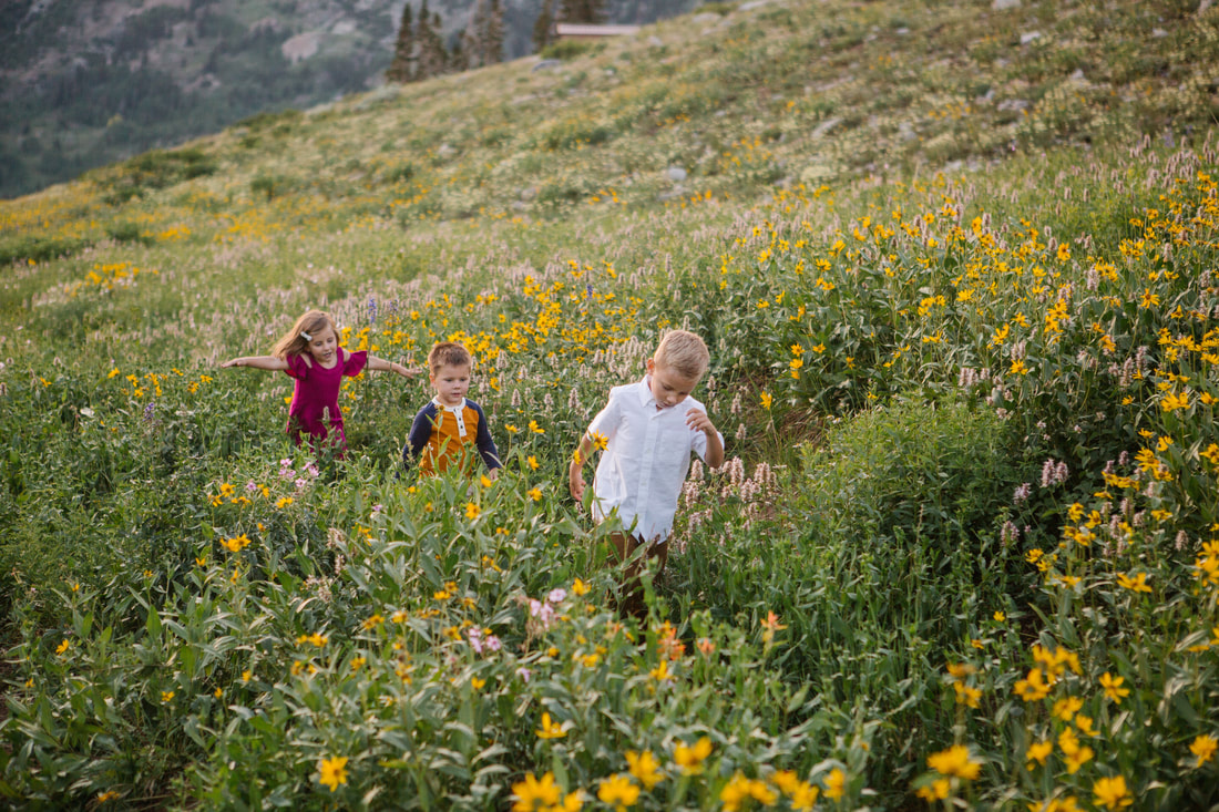 Children playing in the wildflowers at Albion Basin, Utah