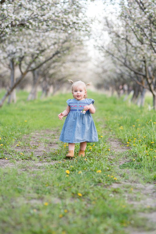 Little girl in blue dress in apple orchard blossoms