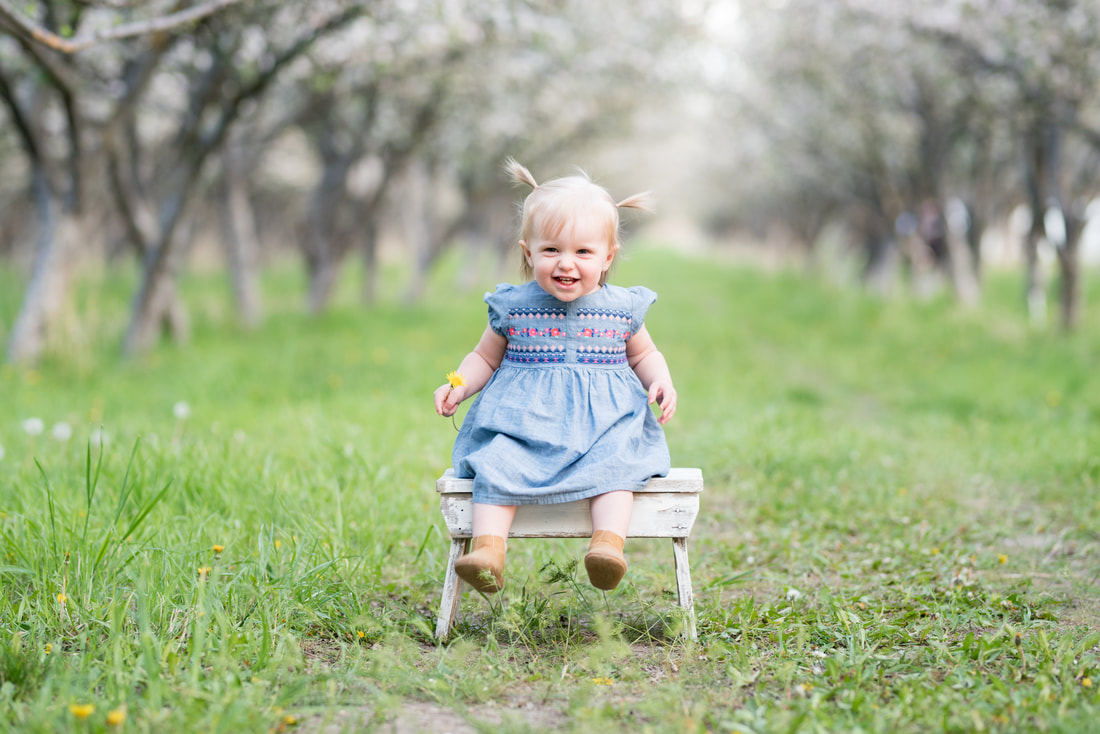 Little girl in blue dress on white bench in Provo utah apple orchard