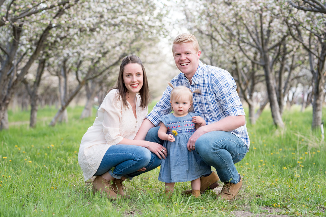 Mom, dad, and toddler girl in blossoming apple orchard